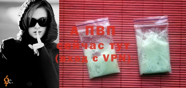 ПСИЛОЦИБИНОВЫЕ ГРИБЫ Пестово