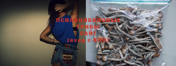 mdpv Переславль-Залесский