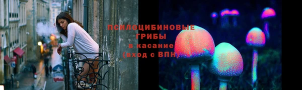 ПСИЛОЦИБИНОВЫЕ ГРИБЫ Пестово