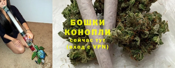 ПСИЛОЦИБИНОВЫЕ ГРИБЫ Пестово
