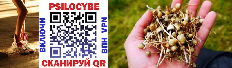 Псилоцибиновые грибы MAGIC MUSHROOMS  Микунь 