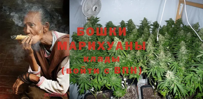 Бошки марихуана THC 21%  mega   Микунь 